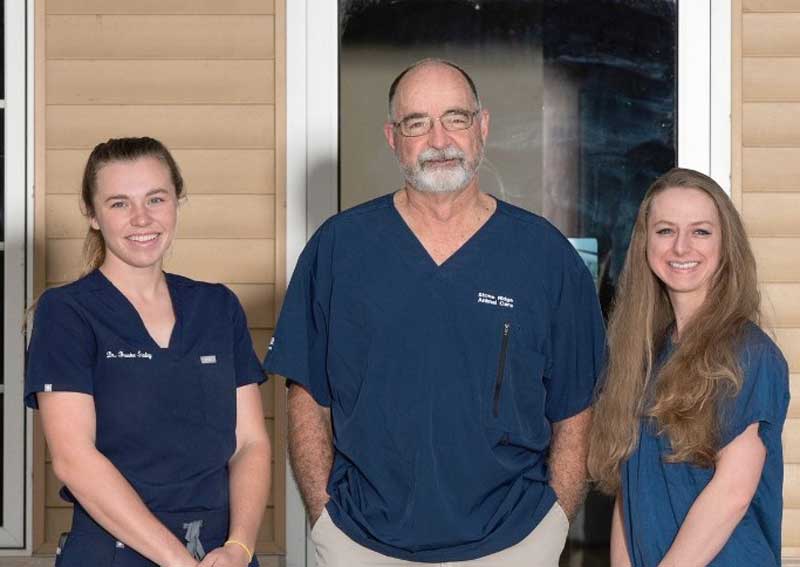 Carousel Slide 3: Meet our veterinarians